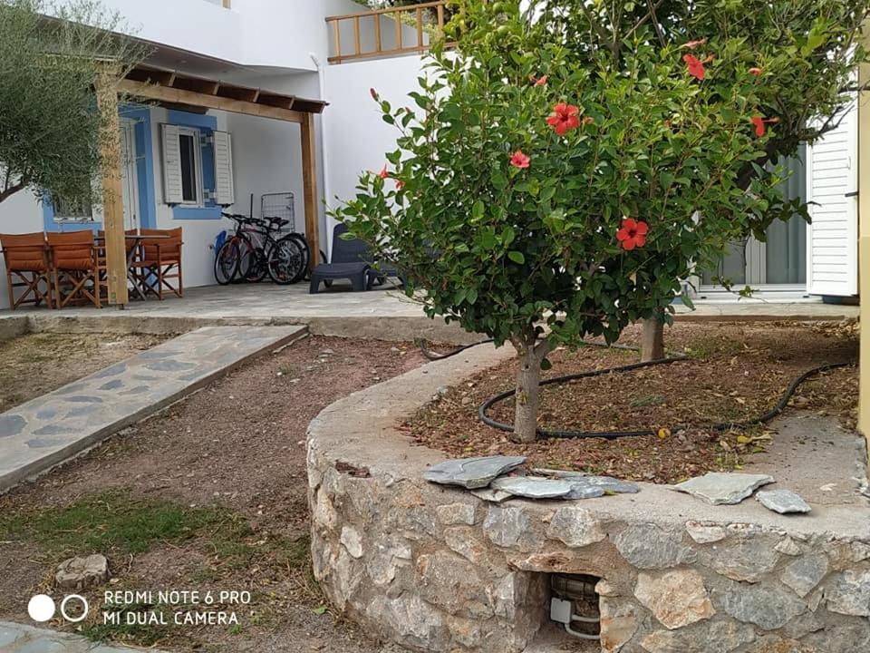 Alkioni Sea View Apartment Zekros Exterior photo