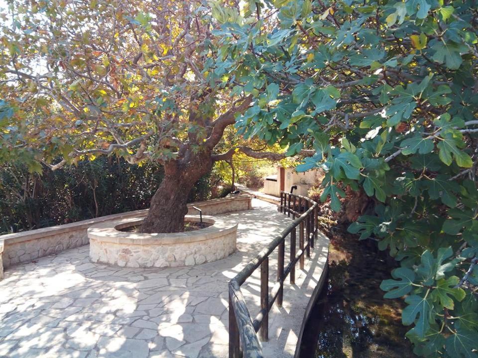 Alkioni Sea View Apartment Zekros Exterior photo